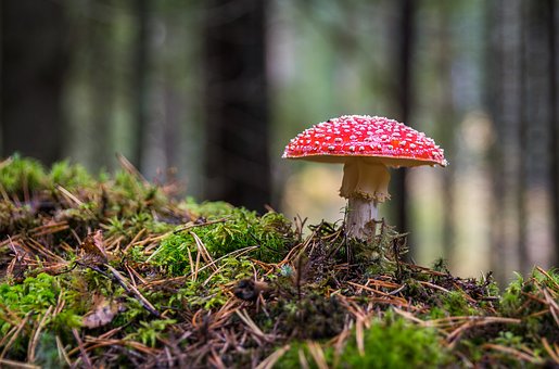 灵活用工平台：工厂普工外包不失为一项明智的选择